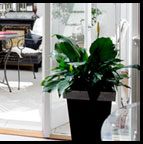 luxury melbourne accommodation